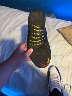 Jordan 12 taxi
