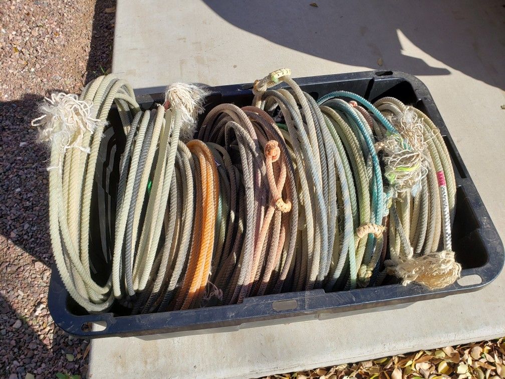 Cowboy Roping Lassos, Riatas