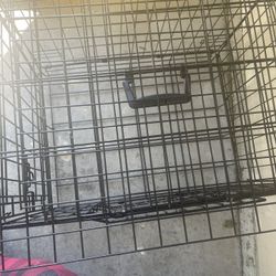 Dog House