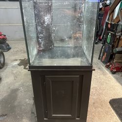 40 Gallon Rimless Fish Tank