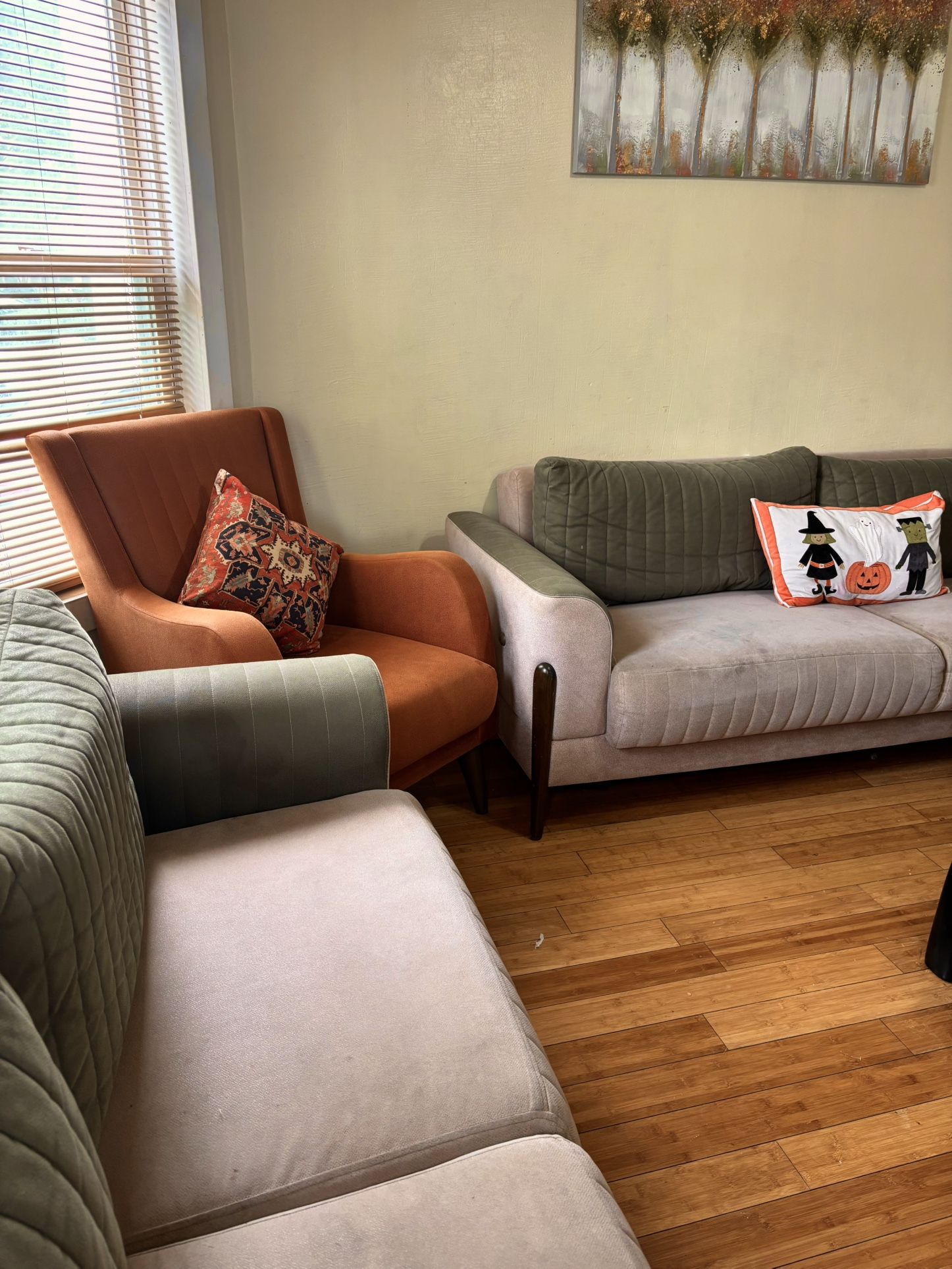 Living Room Set – 2 Couches & Chair