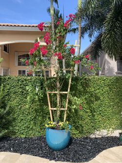 Outdoor Landacaping Decor