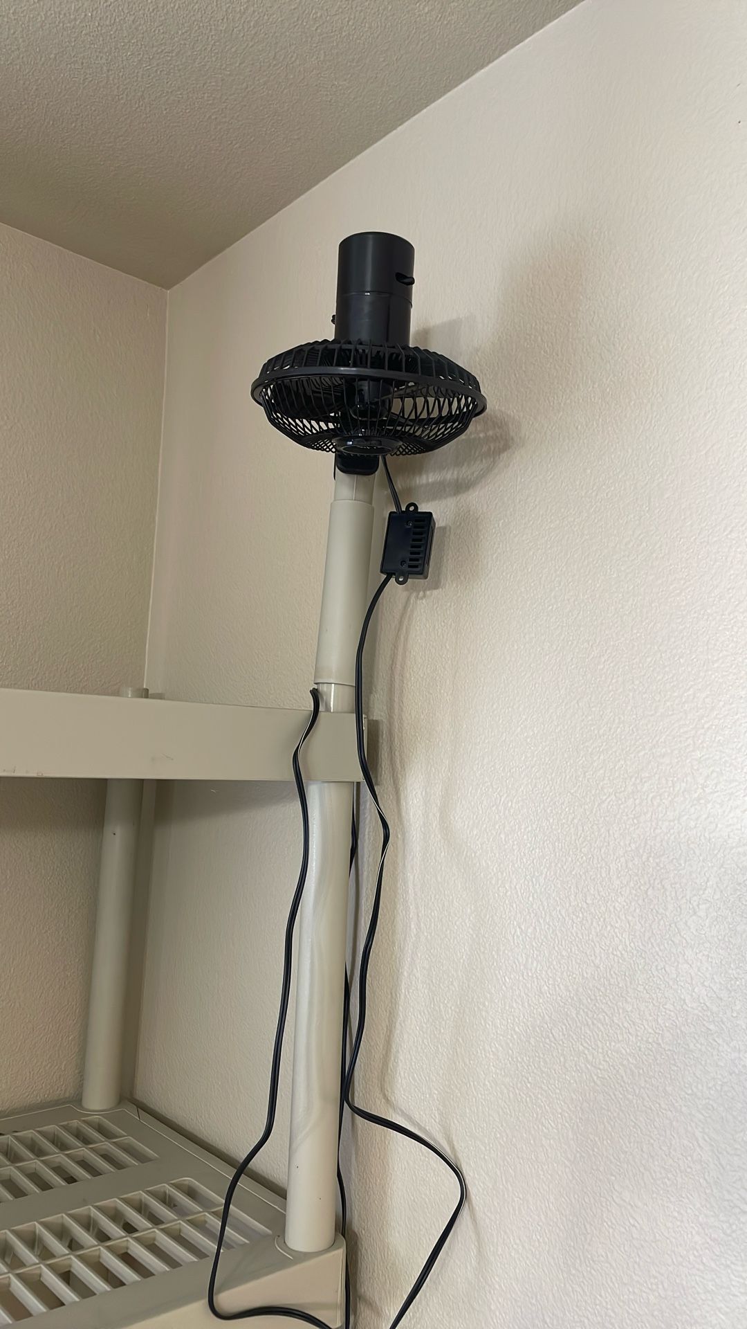 Small Fan