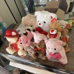 Teddy bears  there in good condition everything must go