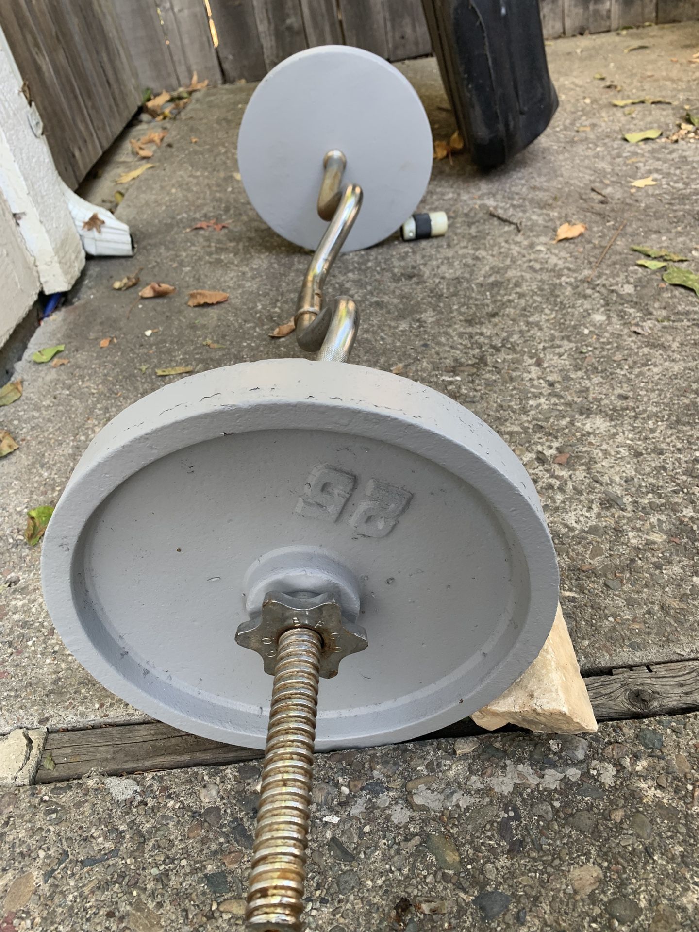 Curl Bar W/Spindle  & Two 25lb Weight Plates