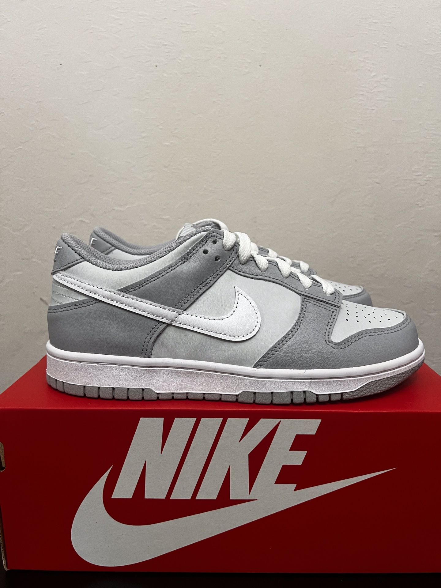 Nike Dunk Low Platinum 6Y