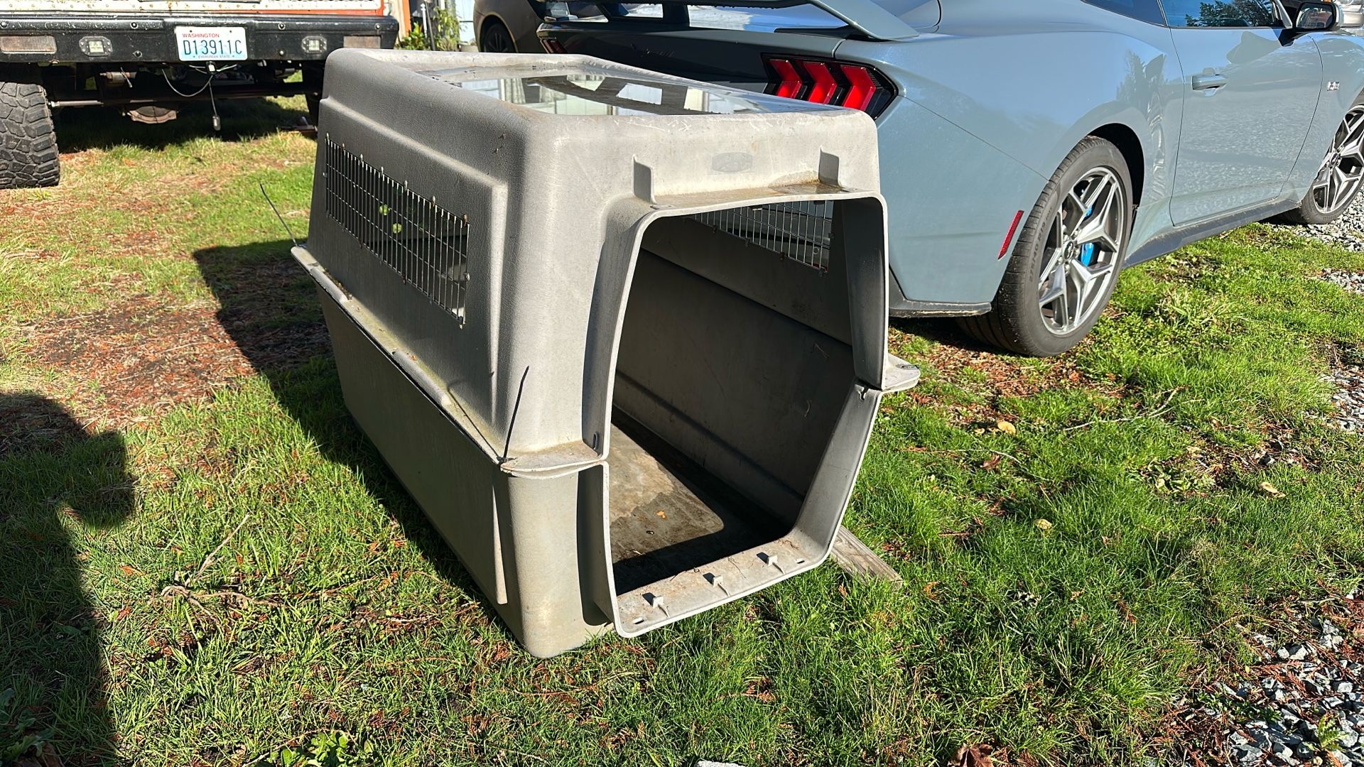 Free Dog — Kennel See Description