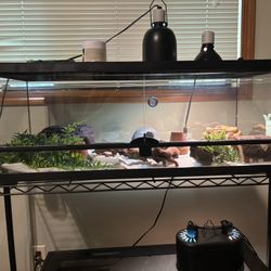 Front Opening Terrariums (36”x18”x12”) w/ Supplies
