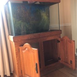 Fish Tank 