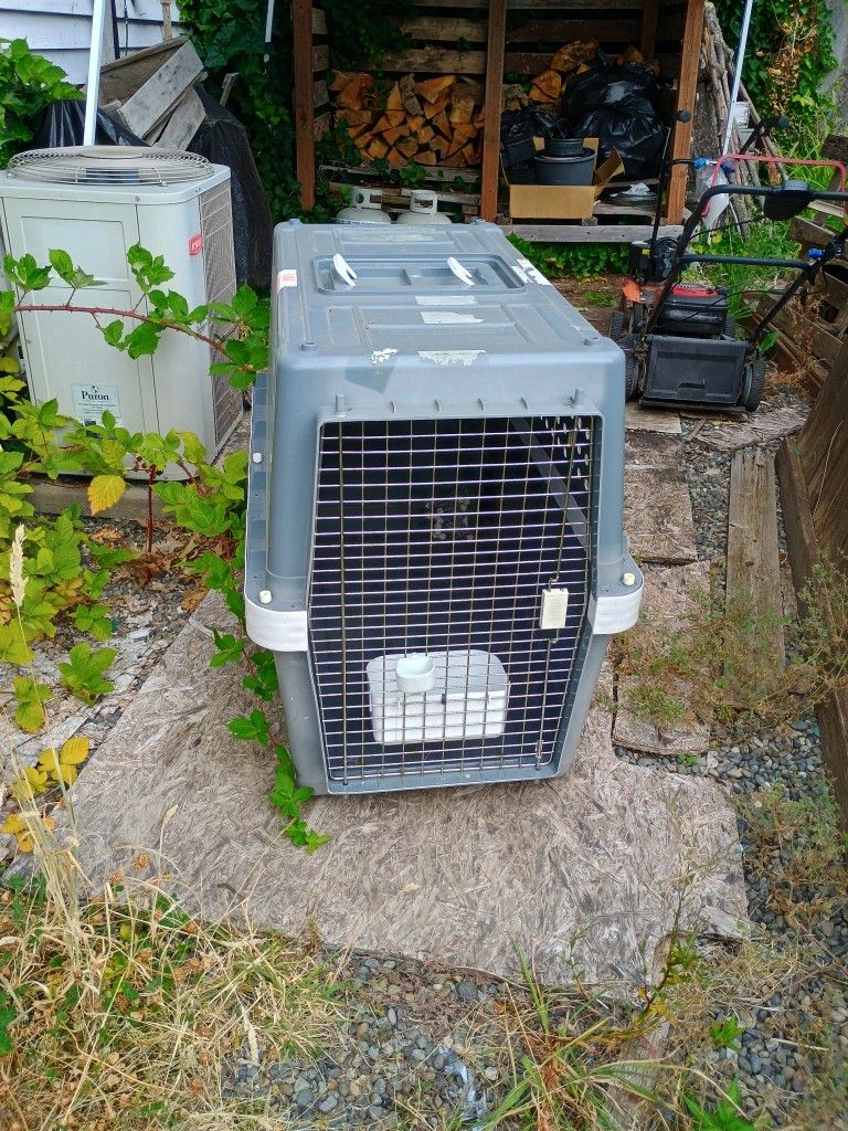 Large PetTraveler/ Kennel Carrier