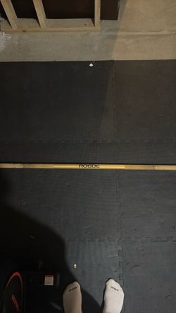 Rogue Ohio Barbell