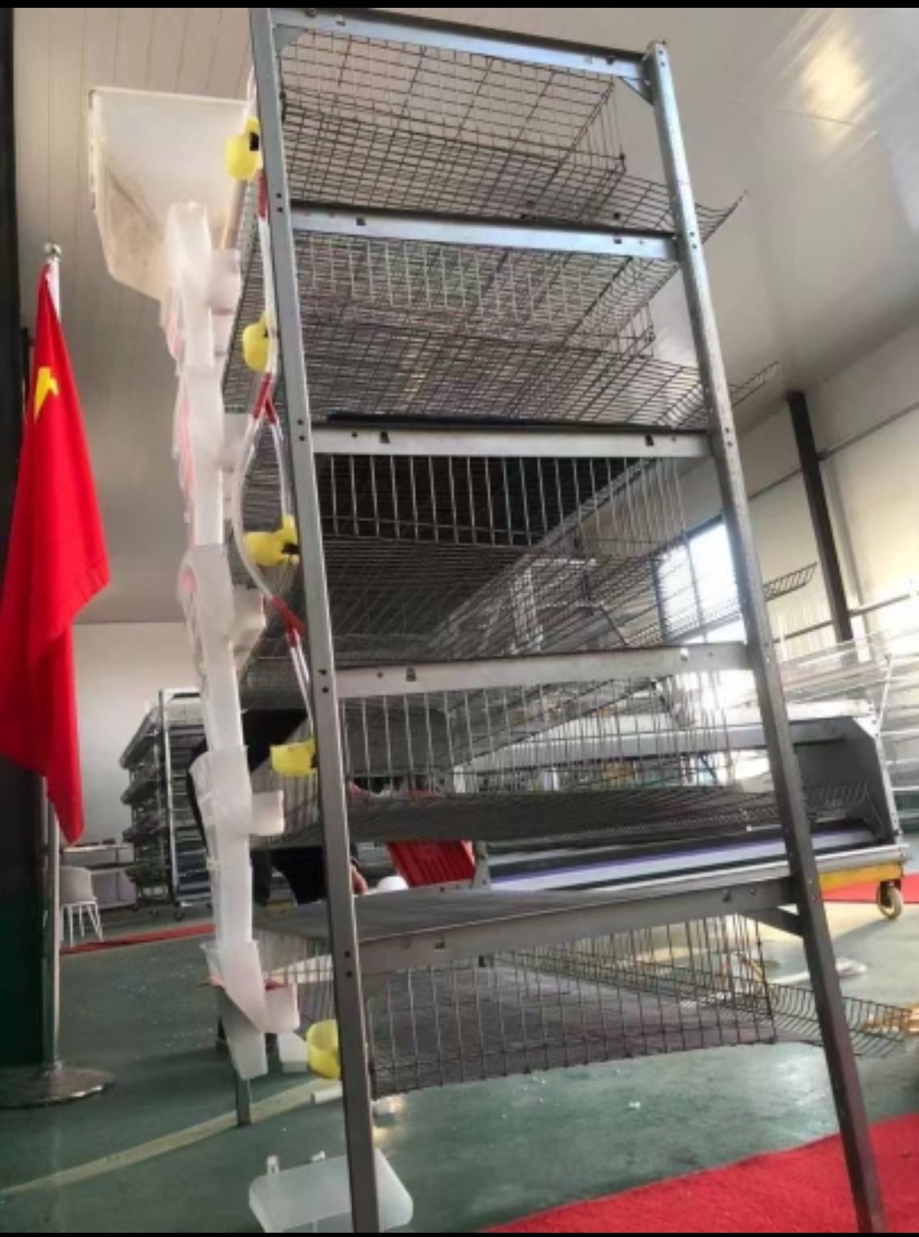 Cage For Quail 