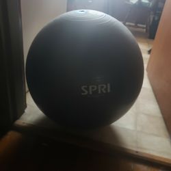 Spri Exercise Ball