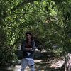 Abraham