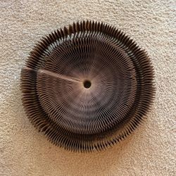 Large Magic Organ Cat Scratching Toy, Catcordian NEW