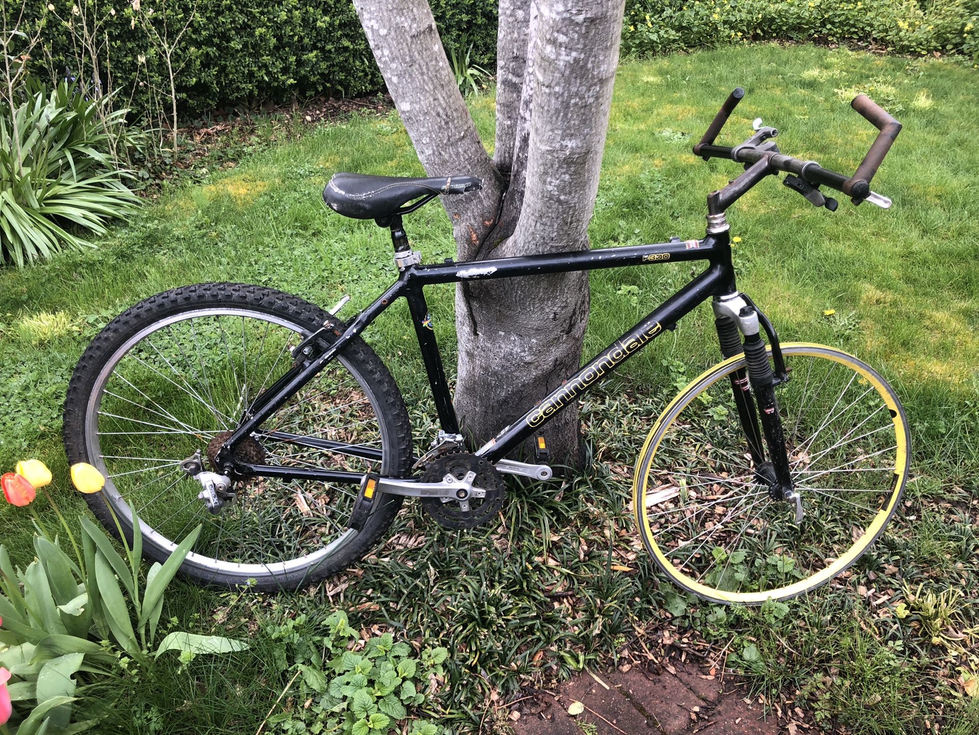 Cannondale CAD1 F300 Project Bike