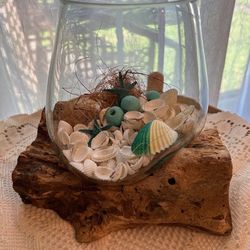 New, Firm, BL#1 Molten Glass on Natural Teak Driftwood Terrarium 7-Inches Tall with Blue Beach Decorations