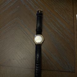 Timex Watch 