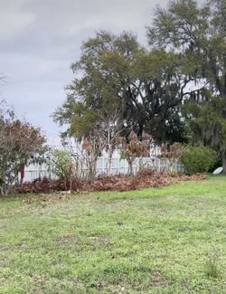 Full Yard clean up,,!!