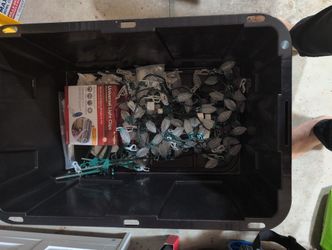 Multiple Holiday Lights Medium Oval Bulbs And LEDs For $