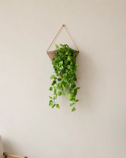 Geometric Plant Holder Wall Decor