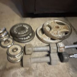 Gym Weights