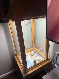 Bird cage