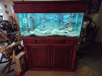 110 fish tank with stand
