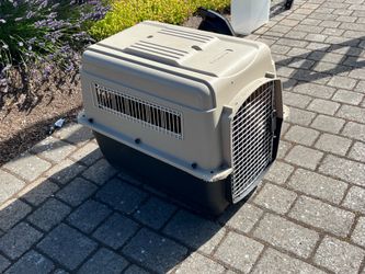 Dog kennel