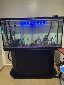 Fish tank