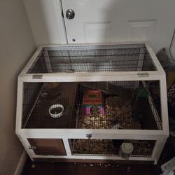 Guinea Pig Cage With Guinea And All Accessories 
