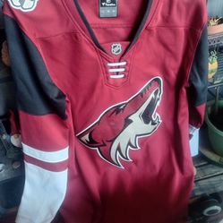 Hockey jerseys size large