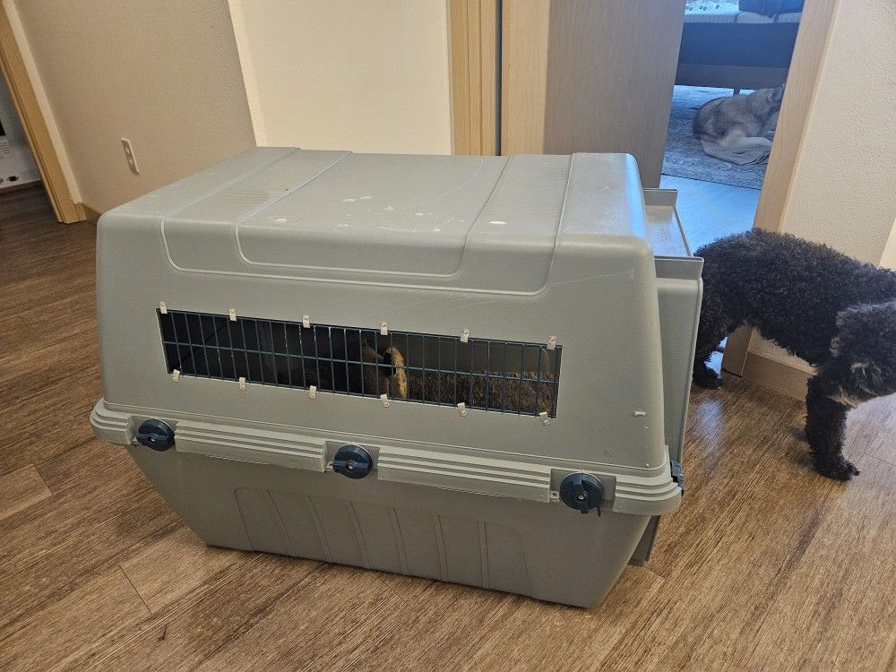Large Dog Kennel Crate Without Door