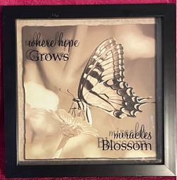 Butterfly Shadow Box Wall Hanging 10” x 10” x 1” Where Hope Grows Miracles Blossom NEW (with flaw see photos!)