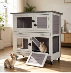 Rabbit Home