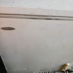 Bottom Freezer 