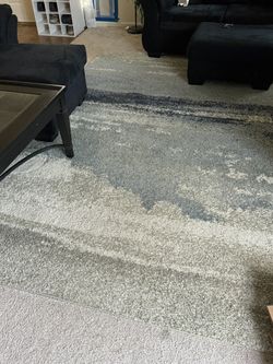 Carpet / Rug