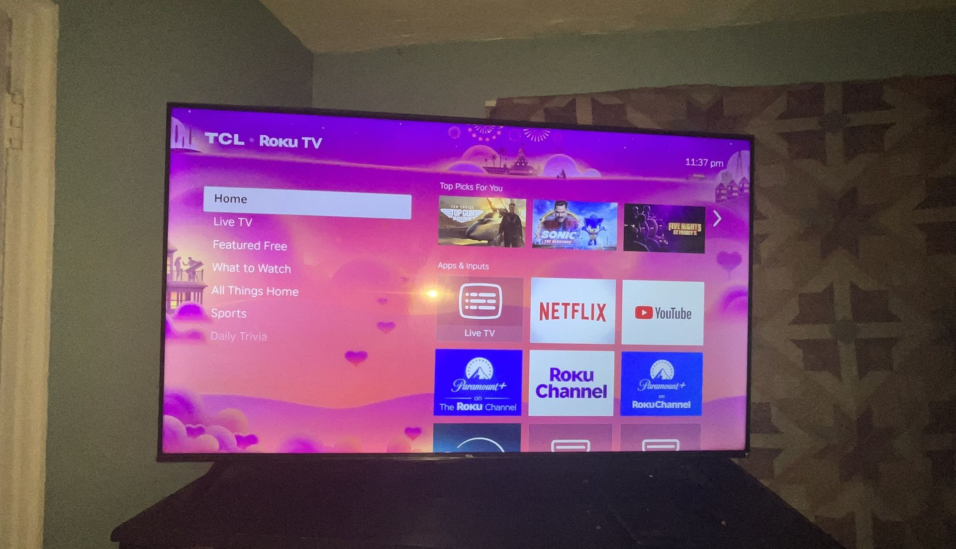 Roku Tv