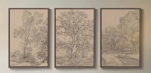 Vintage Tree Sketch Antique Brown Canvas Artwork - Framed Set of 3 - 16x24 inch each.