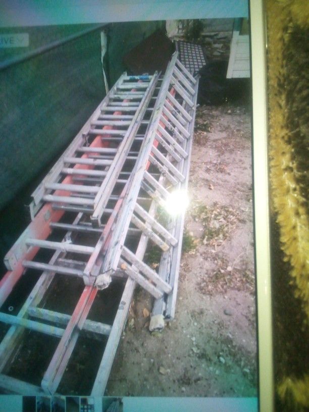 Ladder 4 Of Them