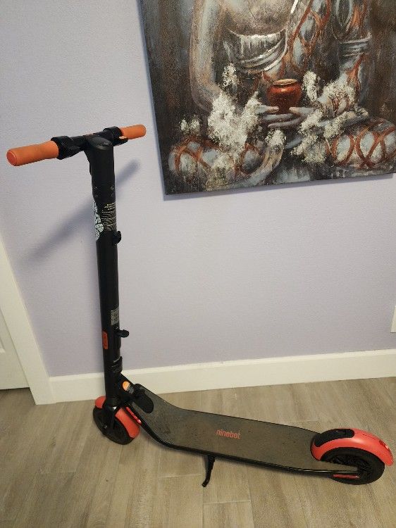 Ninebot Electric Scooter
