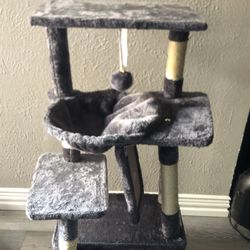 Cat Tree ! 