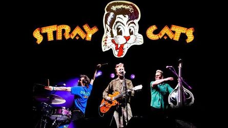 The Stray Cats Concert