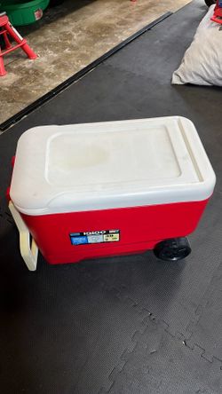 Igloo cooler | 38 quart| with wheels