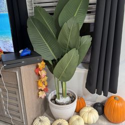 Fake Plant