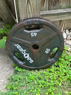 45 lb bench press plate