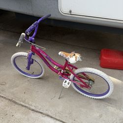 Girls 20” Bike