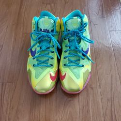 Labron James Beast Mode 10.5