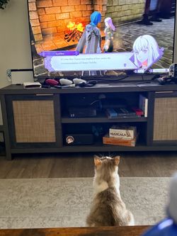 Tv stand