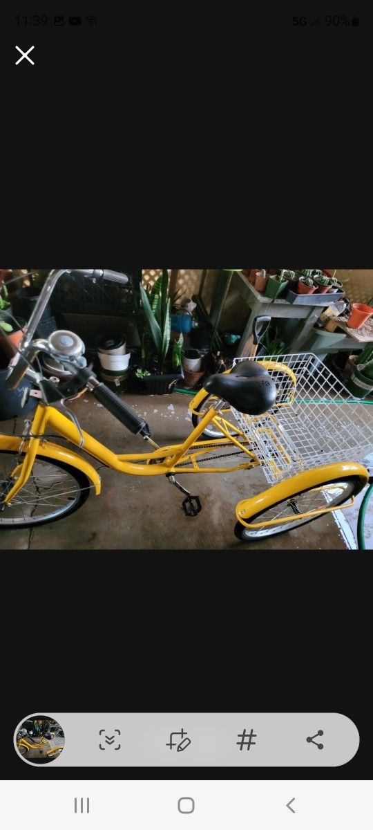 Baicas 3 Yantas  Case Nueba  Medida 20 